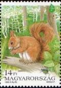 Colnect-574-232-Red-Squirrel-Sciurus-vulgaris-Beetle-Forest.jpg