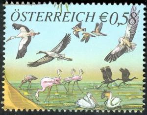 Colnect-703-021-White-Stork-Ciconia-ciconia-Flamingo-Phoenicopterus-sp.jpg