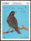 Colnect-2307-526-Cuban-Blackbird-Atroviolacea-dives.jpg