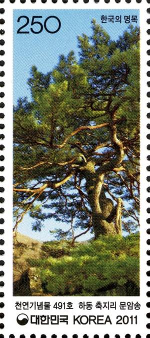 Colnect-1605-740-Literary-Rock-Pine-at-Chukji-ri-Hadong.jpg