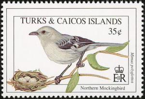 Colnect-1764-374-Northern-Mockingbird-Mimus-polyglottos.jpg