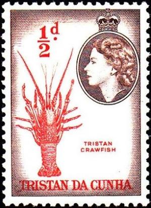 Colnect-2188-749-Tristan-Rock-Lobster-Jasus-tristani-.jpg