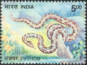 Colnect-540-539-Indian-Rock-Python-Python-molurus.jpg