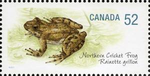 Colnect-767-251-Northern-Cricket-Frog-Acris-crepitans-.jpg