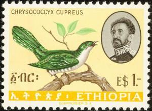 Colnect-874-320-Diederik-Cuckoo-Chrysococcyx-cupreus.jpg