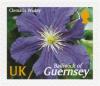 Colnect-3972-593-Clematis-Wisley.jpg