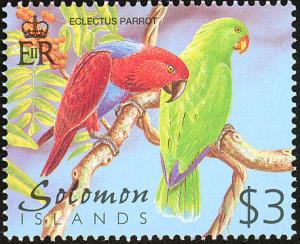 Eclectus-Parrot-Eclectus-roratus.jpg