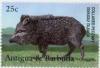 Colnect-4184-982-Collared-peccary.jpg