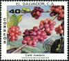 Colnect-5563-109-Coffee-cherries.jpg