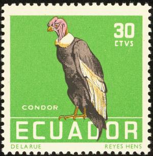 Colnect-734-530-Andean-Condor-Vultur-gryphus.jpg