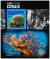 Colnect-5989-900-Blade-Fire-Coral-Millepora-complanata.jpg