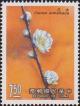 Colnect-3040-039-Apricot-Prunus-armeniaca.jpg