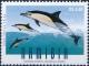 Colnect-3372-588-Common-dolphins.jpg