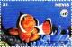 Colnect-3544-859-Common-clownfish.jpg