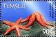 Colnect-4008-290-Common-starfish.jpg
