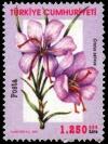 Colnect-975-890-Crocus-sativus.jpg