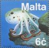 Colnect-131-352-Common-Octopus-Octopus-vulgaris.jpg