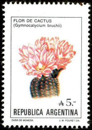 Colnect-1465-825-Flor-de-Cactus-Gymnocalycium-bruchii.jpg