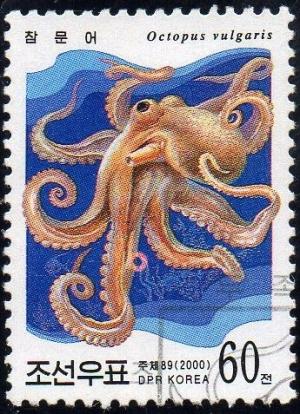 Colnect-1678-333-Common-Octopus-Octopus-vulgaris.jpg
