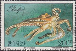 Colnect-1984-722-Common-Octopus-Octopus-vulgaris.jpg