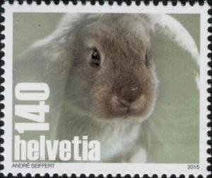 Colnect-2543-326-Domestic-Rabbit-Oryctolagus-cuniculus-forma-domestica.jpg