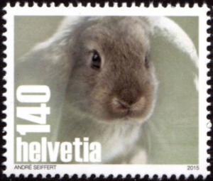 Colnect-5333-025-Domestic-Rabbit-Oryctolagus-cuniculus-forma-domestica.jpg