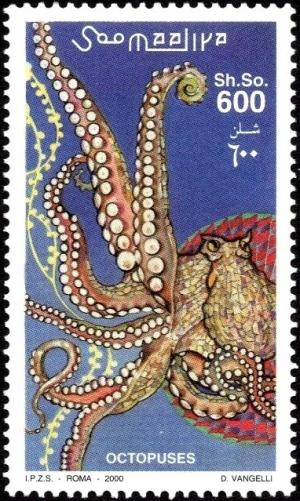 Colnect-6050-137-Common-octopus-Octopus-vulgaris.jpg