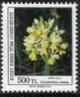 Colnect-1178-925-Dactylorhiza-romana.jpg