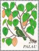 Colnect-2425-175-Eclectus-Parrot-Eclectus-roratus-Football-Fruit-Tree-Pan.jpg