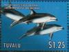 Colnect-6297-703-Pacific-White-Sided-Dolphin.jpg