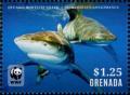 Colnect-4809-725-Whitetip-Oceanic-Shark-Carcharhinus-longimanus.jpg