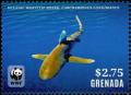 Colnect-4809-727-Whitetip-Oceanic-Shark-Carcharhinus-longimanus.jpg