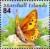 Colnect-3470-861-Baltic-grayling-butterfly.jpg
