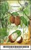 Colnect-4040-966-Cupuaco---The-Exotic-Flavor-of-the-Brazilian-Amazonia.jpg