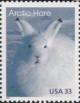 Colnect-201-211-Arctic-Hare-Lepus-timidus.jpg