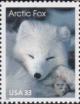 Colnect-201-212-Arctic-Fox-Alopex-lagopus.jpg