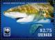 Colnect-4809-729-Whitetip-Oceanic-Shark-Carcharhinus-longimanus.jpg