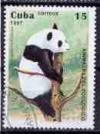 Colnect-1451-386-Giant-Panda-Ailuropoda-melanoleuca.jpg