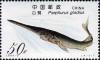 Colnect-5157-896-Chinese-Paddlefish-Polyodon-gladius.jpg