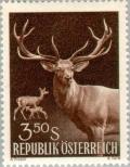 Colnect-136-440-Red-Deer-Cervus-elaphus.jpg