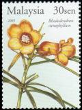Colnect-3430-727-Rhododendron-stenophyllum.jpg