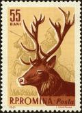 Colnect-4945-291-Red-Deer-Cervus-elaphus.jpg