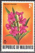Colnect-838-383-Oleander-Nerium-oleander.jpg