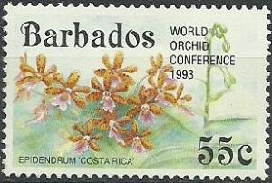 Colnect-1785-489-Epidendrum-Costa-Rica.jpg