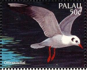 Colnect-2425-167-Black-headed-Gull-Larus-ridibundus.jpg