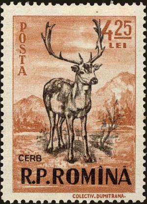 Colnect-4417-912-Red-Deer-Cervus-elaphus.jpg