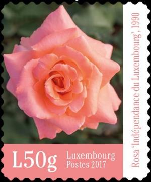 Colnect-4565-486-Rose---Independence-of-Luxembourg.jpg