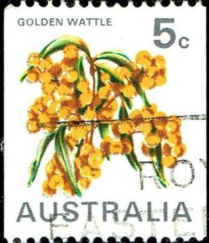 Colnect-5319-570-Australian-Golden-Wattle---Acacia-pycnantha.jpg