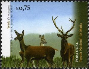 Colnect-579-494-Red-Deer-Cervus-elaphus.jpg