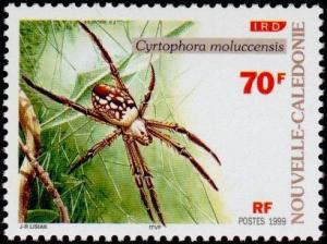 Colnect-857-157-Tent-web-Spider-Cyrtophora-moluccensis.jpg
